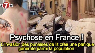 Photo of Psychose en France : L’invasion des punaises de lit crée une panique générale parmi la population !