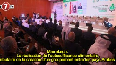 Photo of Marrakech: La réalisation de l’autosuffisance alimentaire, tributaire de la création d’un groupement entre les pays Arabes !