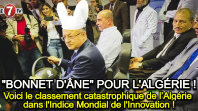 Photo of Voici le classement catastrophique de l’Algérie dans l’Indice Mondial de l’Innovation !