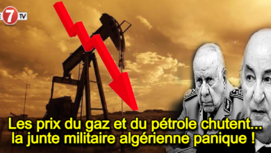 Photo of Les prix du gaz et du pétrole chutent…la junte militaire algérienne panique !