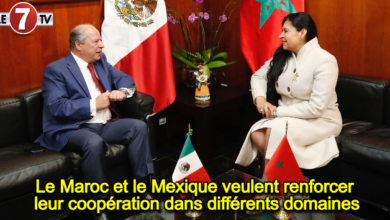 Photo of Le Maroc et le Mexique veulent renforcer leur coopération dans différents domaines