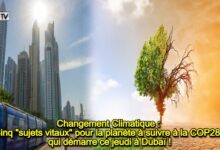Photo of Changement Climatique : Cinq « sujets vitaux » pour la planète à suivre à la COP28, qui démarre ce jeudi à Dubaï !