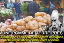 Photo of Quand le prix des pommes de terre en Algérie, dicte les situations politiques et sociales !