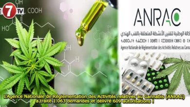 Photo of L’Agence Nationale de Réglementation des Activités relatives au Cannabis (ANRAC) a traité 1.063 demandes et délivré 609 autorisations !