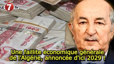 Photo of Une faillite économique générale de l’Algérie, annoncée d’ici 2029 !