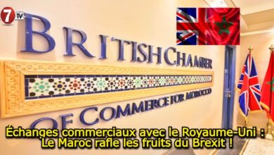 Photo of Échanges commerciaux avec le Royaume-Uni : Le Maroc rafle les fruits du Brexit !