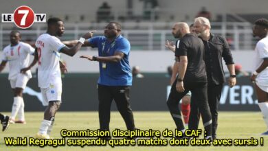 Photo of Commission disciplinaire de la CAF : Walid Regragui suspendu quatre matchs dont deux avec sursis !