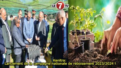 Photo of Kenitra: Lancement de la campagne nationale de reboisement 2023/2024 !