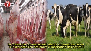 Photo of Le Conseil de Gouvernement adopte un projet de décret sur la suspension des droits d’importation des bovins !