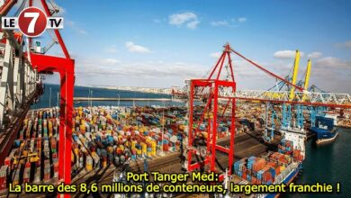 Photo of Port Tanger Med: La barre des 8,6 millions de conteneurs largement franchie !