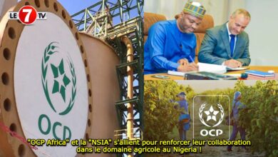 Photo of « OCP Africa » et la « NSIA » s’allient pour renforcer leur collaboration dans le domaine agricole au Nigeria !