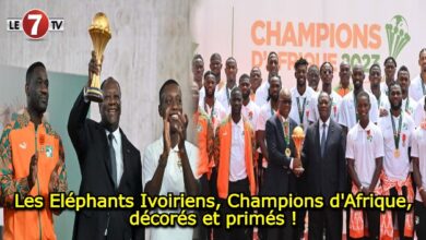 Photo of Les Eléphants Ivoiriens, Champions d’Afrique, décorés et primés !