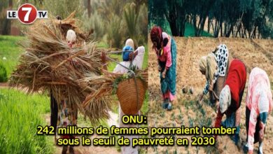 Photo of ONU: 242 millions de femmes pourraient tomber sous le seuil de pauvreté en 2030