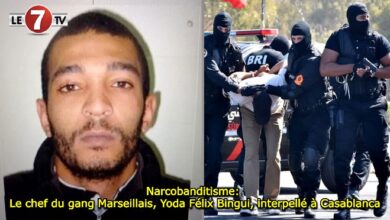 Photo of Narcobanditisme: Le chef du gang Marseillais, Yoda Félix Bingui, interpellé à Casablanca