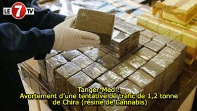 Photo of Tanger-Med : Avortement d’une tentative de trafic de 1,2 tonne de Chira (résine de Cannabis)