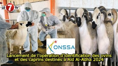 Photo of Lancement de l’opération d’identification des ovins et des caprins destinés à Aïd Al-Adha 2024