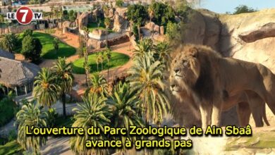 Photo of L’ouverture du Parc Zoologique de Ain Sbaâ avance à grands pas