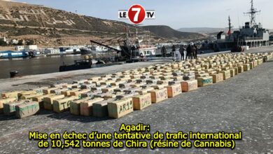 Photo of Agadir: Mise en échec d’une tentative de trafic international de 10,542 tonnes de Chira (résine de Cannabis)