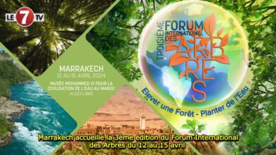 Photo of Marrakech accueille la 3ème édition du Forum International des Arbres du 12 au 15 avril 
