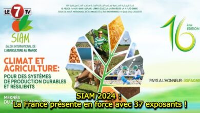 Photo of SIAM 2024 : La France présente en force avec 37 exposants !