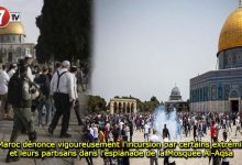 Photo of Le Maroc dénonce vigoureusement l’incursion par certains extrémistes et leurs partisans dans l’esplanade de la Mosquée Al-Aqsa