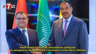 Photo of Addis-Abeba: Tenue de consultations politiques en perspective de la première Commission mixte Maroc-Ethiopie