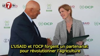 Photo of L’USAID et l’OCP forgent un partenariat pour révolutionner l’agriculture