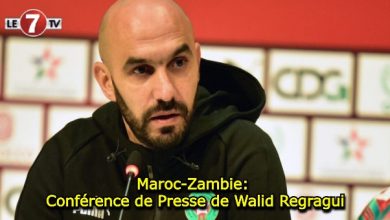 Photo of Maroc-Zambie: Conférence de Presse de Walid Regragui