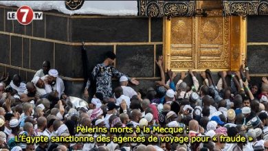 Photo of Pèlerins morts à la Mecque : l’Égypte sanctionne des agences de voyage pour « fraude »