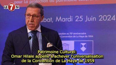 Photo of Patrimoine Culturel: Omar Hilale appelle à achever l’universalisation de la Convention de La Haye de 1954