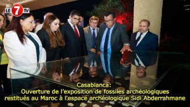 Photo of Casablanca: Ouverture de l’exposition de fossiles archéologiques restitués au Maroc à l’espace archéologique Sidi Abderrahmane