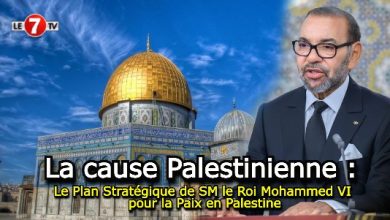 Photo of Le Plan Stratégique de SM le Roi Mohammed VI pour la Paix en Palestine