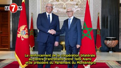 Photo of Le renforcement de la coopération bilatérale au centre d’entretiens entre Talbi Alami et le président du Parlement du Monténégro