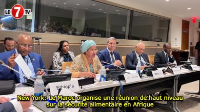 Photo of New York: Le Maroc organise une réunion de haut niveau sur la sécurité alimentaire en Afrique