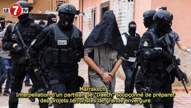 Photo of Marrakech : Interpellation d’un partisan de « Daech » soupçonné de préparer des projets terroristes de grande envergure