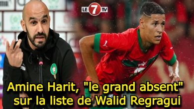 Photo of Amine Harit, « le grand absent » sur la liste de Walid Regragui