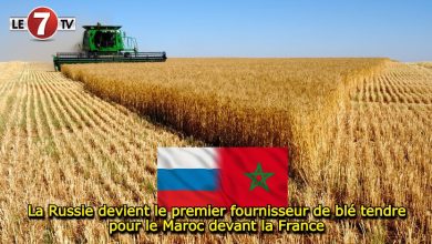 Photo of La Russie devient le premier fournisseur de blé tendre pour le Maroc devant la France