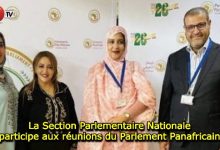 Photo of La Section Parlementaire Nationale participe aux réunions du Parlement Panafricain