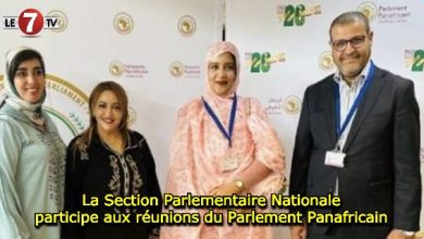 Photo of La Section Parlementaire Nationale participe aux réunions du Parlement Panafricain