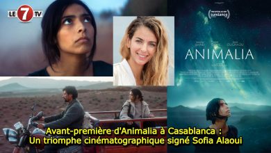 Photo of Avant-première d’Animalia à Casablanca : Un triomphe cinématographique signé Sofia Alaoui