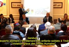 Photo of Genève : Des experts pointent l’enrôlement des enfants-soldats à Tindouf, « violation grave des Droits Humains »