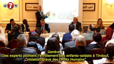 Photo of Genève : Des experts pointent l’enrôlement des enfants-soldats à Tindouf, « violation grave des Droits Humains »