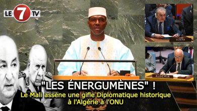 Photo of Le Mali assène une gifle Diplomatique historique à l’Algérie à l’ONU