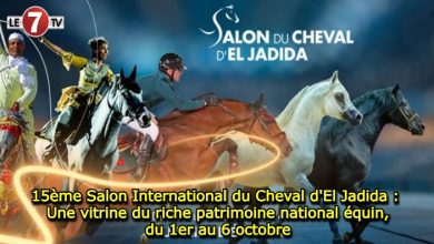 Photo of 15ème Salon International du Cheval d’El Jadida : Une vitrine du riche patrimoine national équin