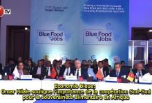 Photo of Economie Bleue: Omar Hilale souligne l’importance de la coopération Sud-Sud pour la souveraineté alimentaire en Afrique