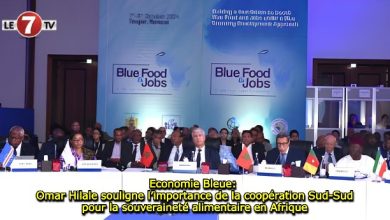 Photo of Economie Bleue: Omar Hilale souligne l’importance de la coopération Sud-Sud pour la souveraineté alimentaire en Afrique