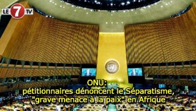 Photo of ONU: Des pétitionnaires dénoncent le Séparatisme, « grave menace à la paix » en Afrique