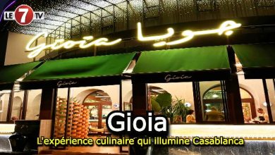 Photo of Gioia : L’expérience culinaire qui illumine Casablanca