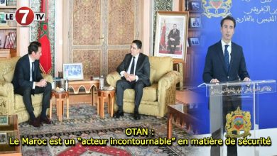 Photo of OTAN : Le Maroc est un « acteur incontournable » en matière de sécurité 