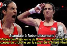 Photo of Scandale à Rebondissement: La Fédération Algérienne de Boxe, une nouvelle fois, accusée de tricherie sur le sexe réel d’Imane Khelif